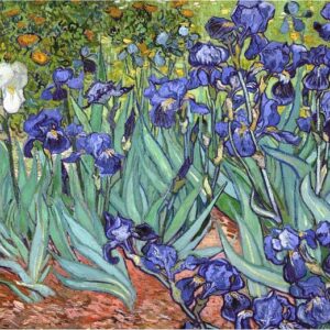 Enigma Brand 1000pc Jigsaw - Irises  (Made From 100% High Quality European Blue Board From Holland)