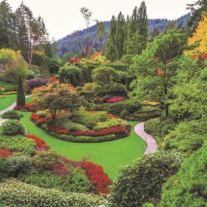 Enigma Brand 1000pc Jigsaw - Butchart Garden Vancouver Island  (Made From 100% High Quality European Blue Board From Holland)