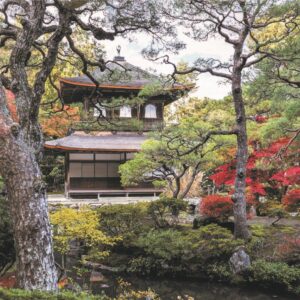 Enigma Brand 1000pc Jigsaw - ginkakuji temple kyoto Japan (Made From 100% High Quality European Blue Board From Holland)